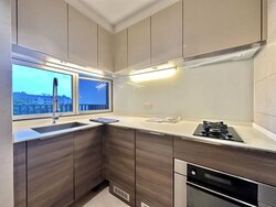 The Meyerise (D15), Condominium #443350341